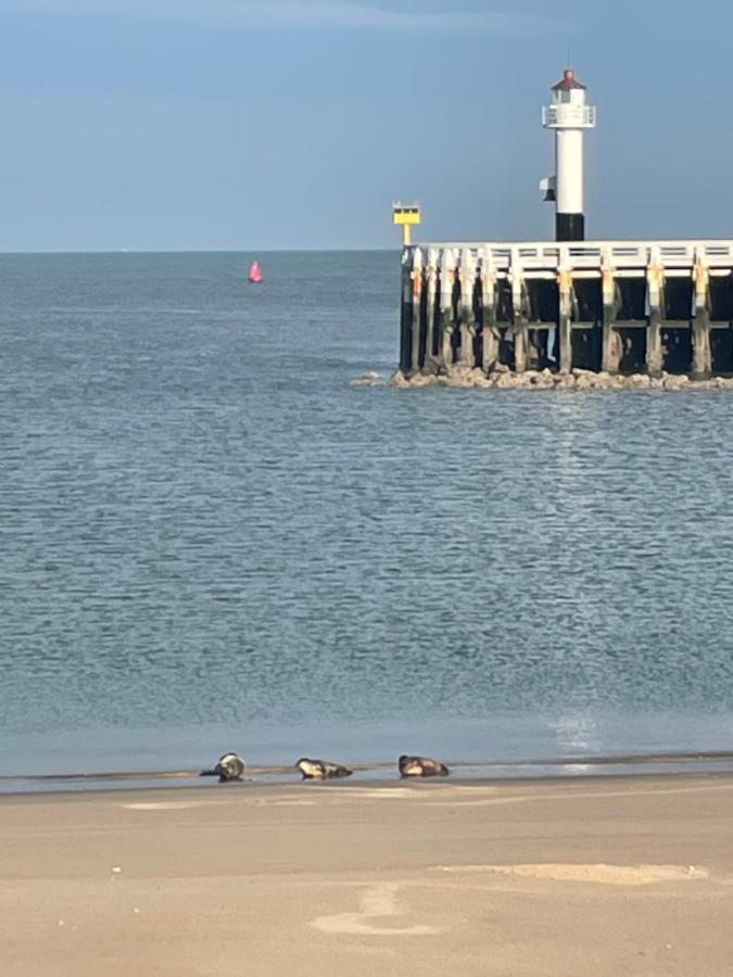 Seaview Penthouse Oostende Екстериор снимка